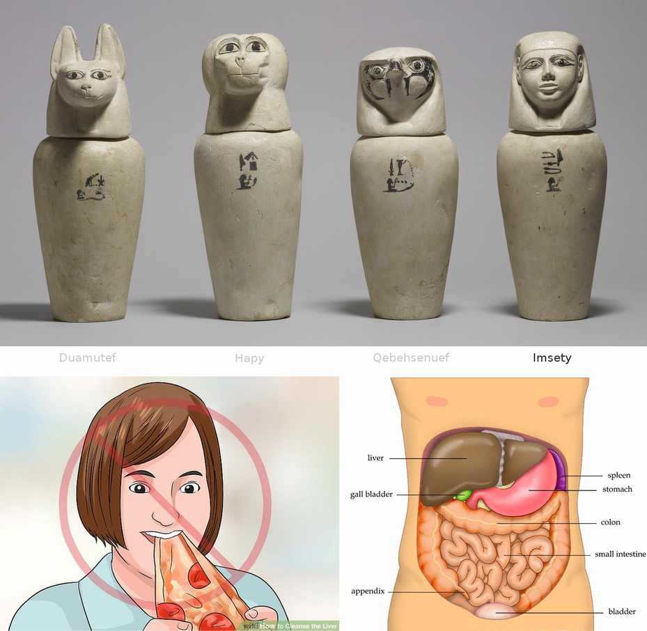 Canopic Jars Imsety Protector of Liver Mummification Organs Ancient Egyptian Mummy Human Face